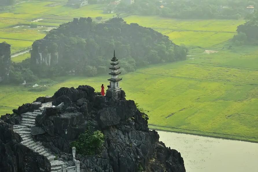 Ngắm nhìn toàn cảnh những ruộng lúa chín vàng từ Hang Múa - Đỉnh Ngọa Long