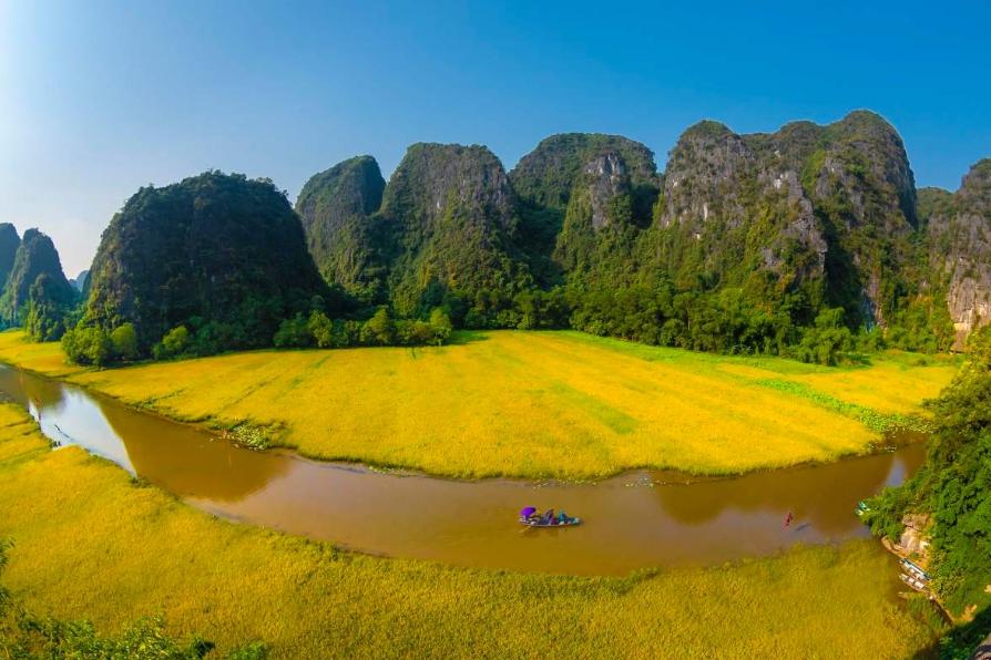 Mùa lúa chín tuyệt đẹp ở Ninh Bình