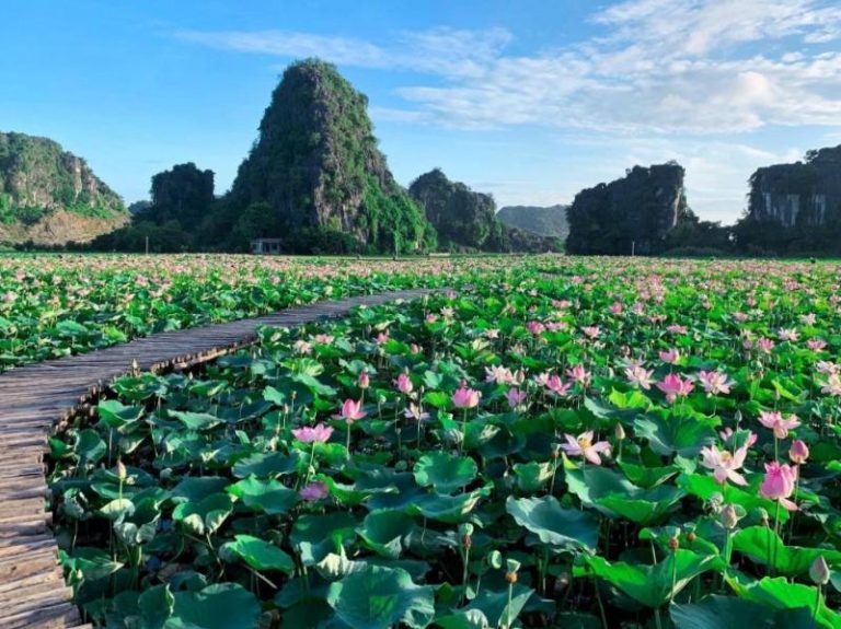 Ninh Bình tháng 6
