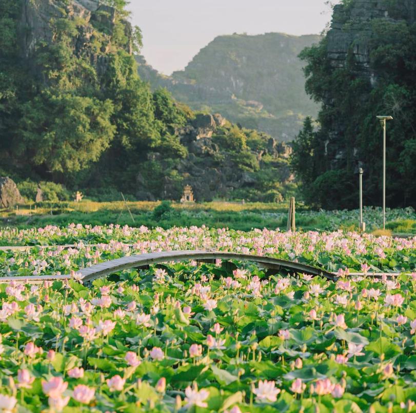 Thời tiết Ninh Bình tháng 6 cực kỳ dễ chịu