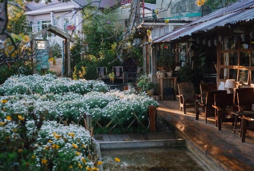 Tiệm Cà Phê Túi Mơ To Đà Lạt