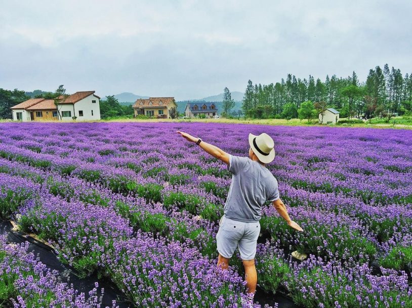 Đến Đà Lạt tháng 4 để ngắm nhìn những loài hoa đua nở