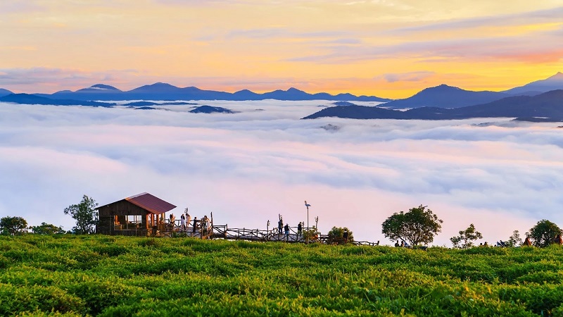 Đà Lạt đi tháng nào cũng đẹp lung linh