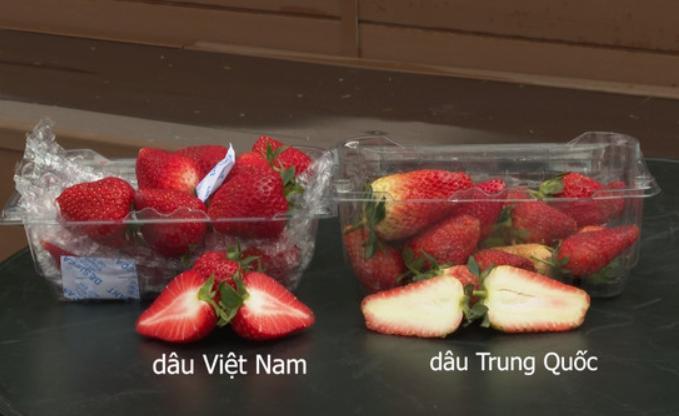 Cách phân biệt dâu tây Đà Lạt và dâu tây Trung Quốc