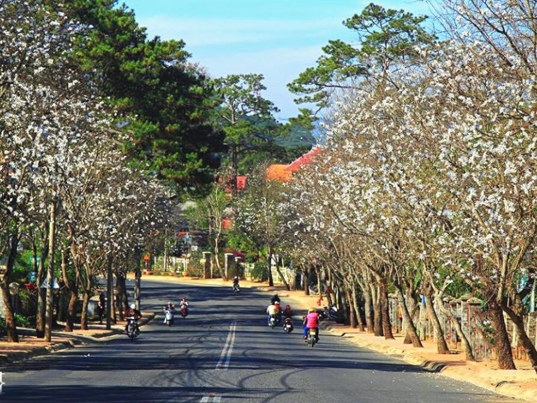 Thời tiết ở Đà Lạt tháng ba với nắng ấm dễ chịu