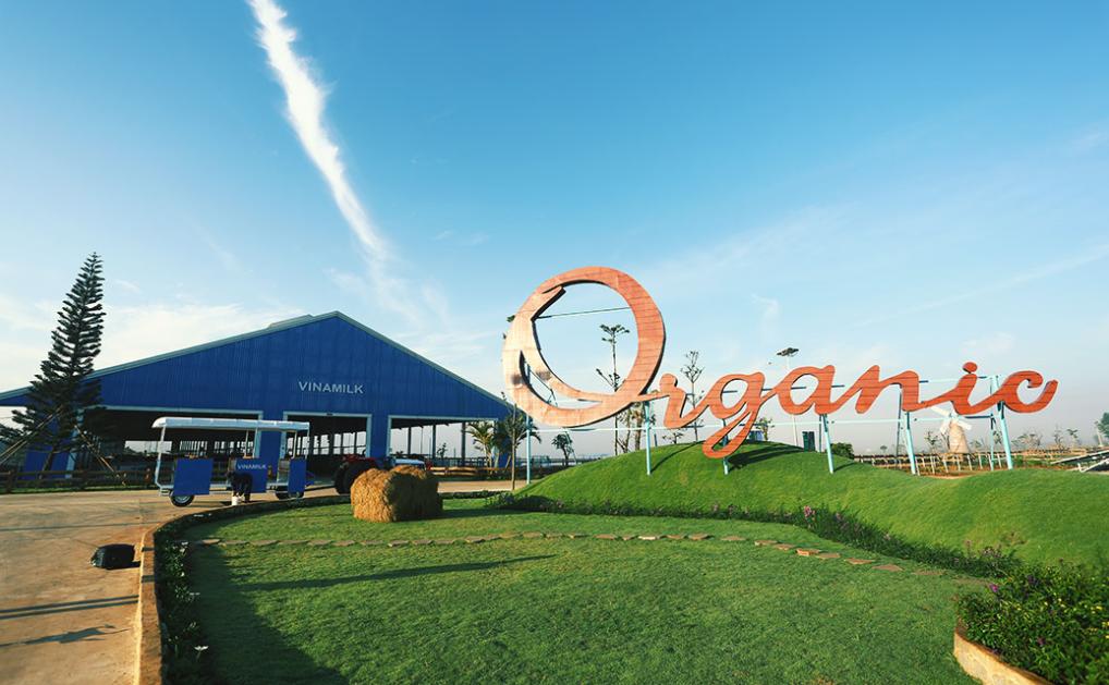 Nông trại Vinamilk Organic Milk Đà Lạt