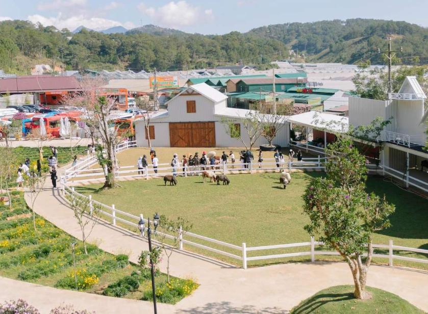 Nông Trại Cún – Puppy Farm