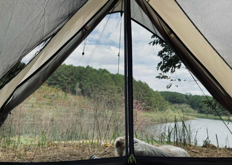 Pine Forest Camping Đà Lạt cực chill với chiếc view nhìn thẳng ra hồ