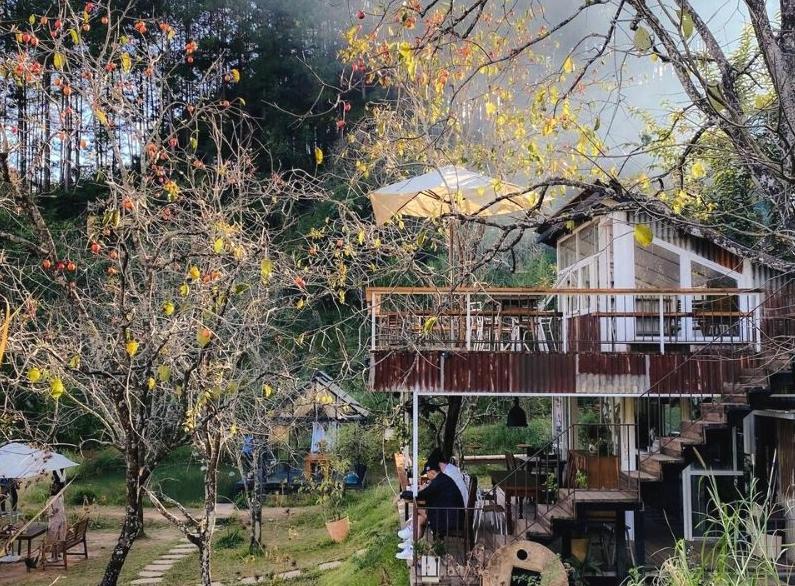 Homestay Đợi Một Người