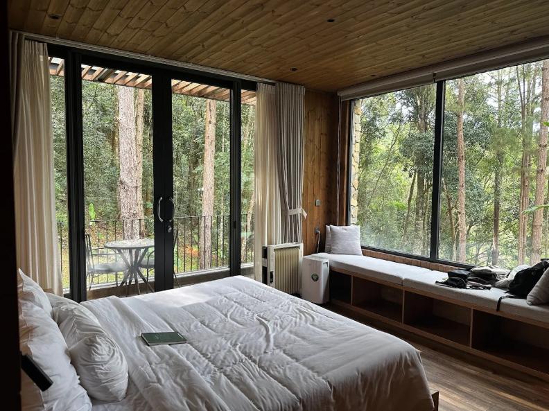 Phòng Junior Suite