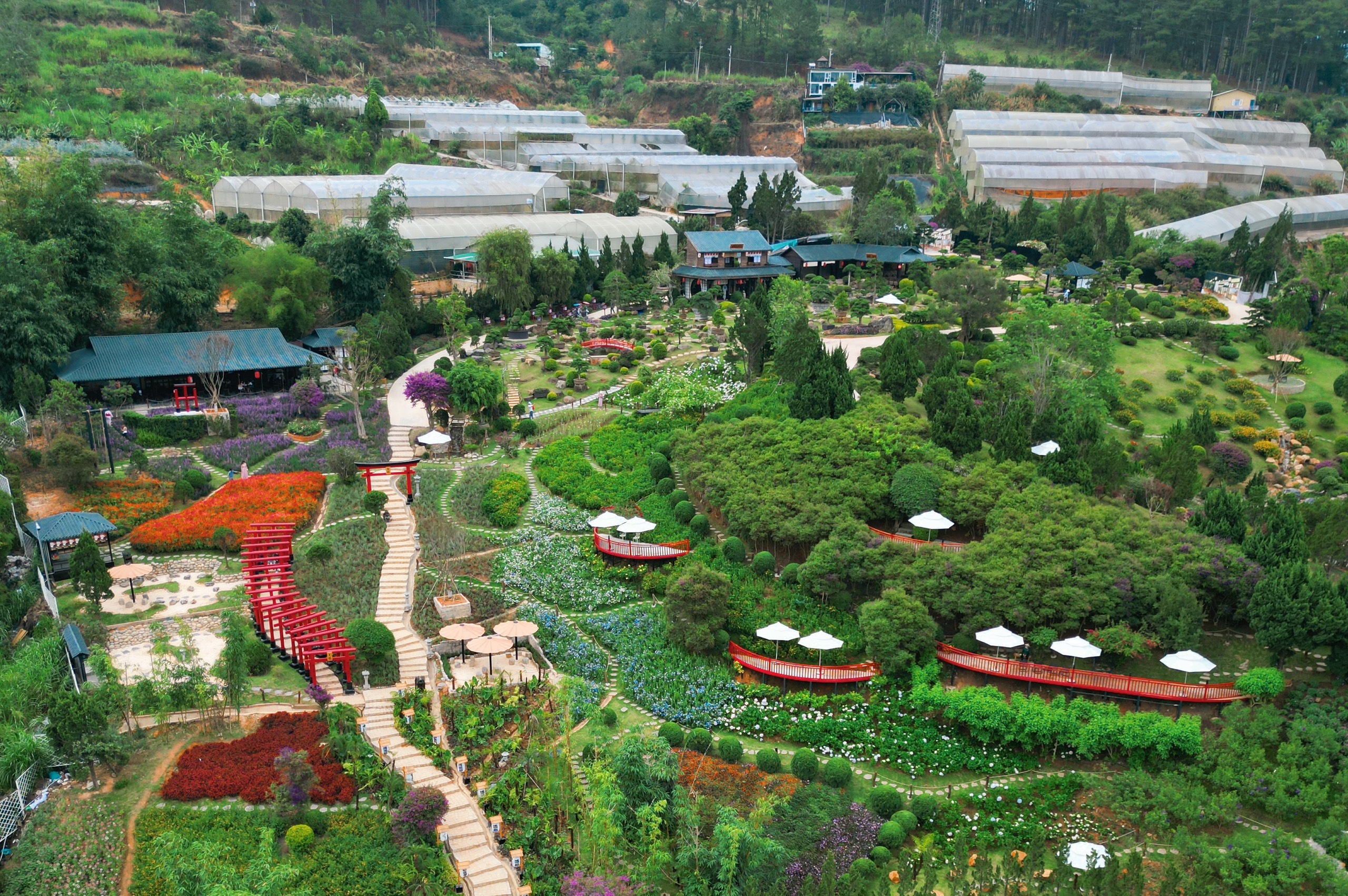 Ohayo Đà Lạt - Tọa lạc cách trung tâm 7km 