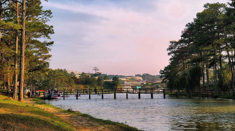Rừng thông Đà Lạt đối diện bờ Hồ Than Thở