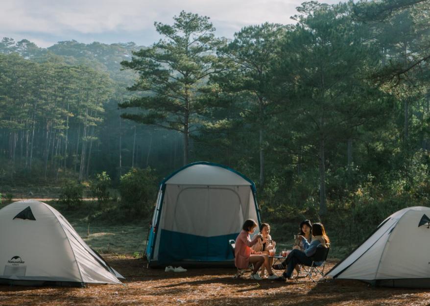 Tụ tập cắm trại, dã ngoại giữa rừng thông
