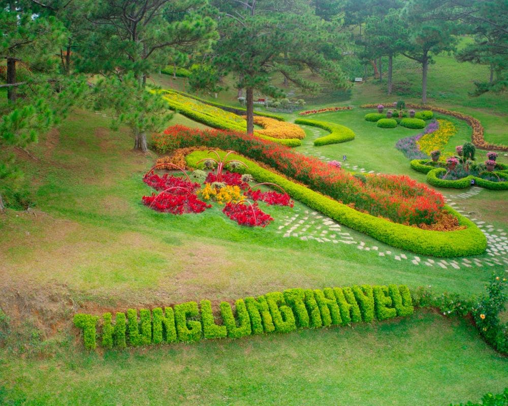 Thung lũng tình yêu - Điểm checkin nổi tiếng khi đến Đà Lạt tháng 3