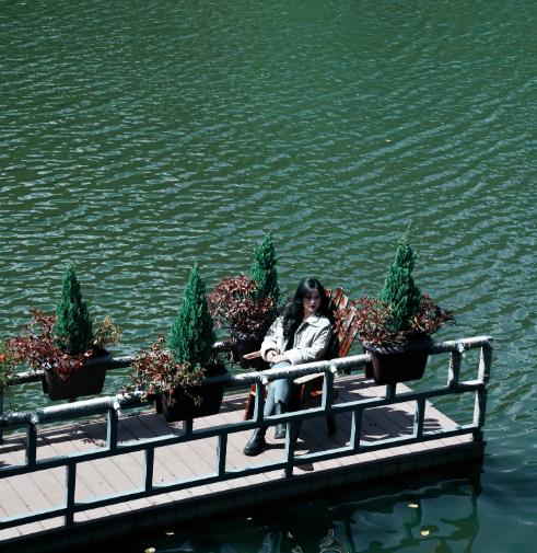Cây cầu sống ảo "tuyệt đối điện ảnh"