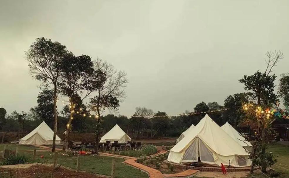 Cắm trại qua đêm ở Cao Nguyên Hoa Đà Lạt