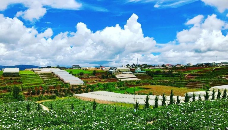 Chuẩn bị đầy đủ để bắt đầu chuyến đi Đà Lạt tháng 7