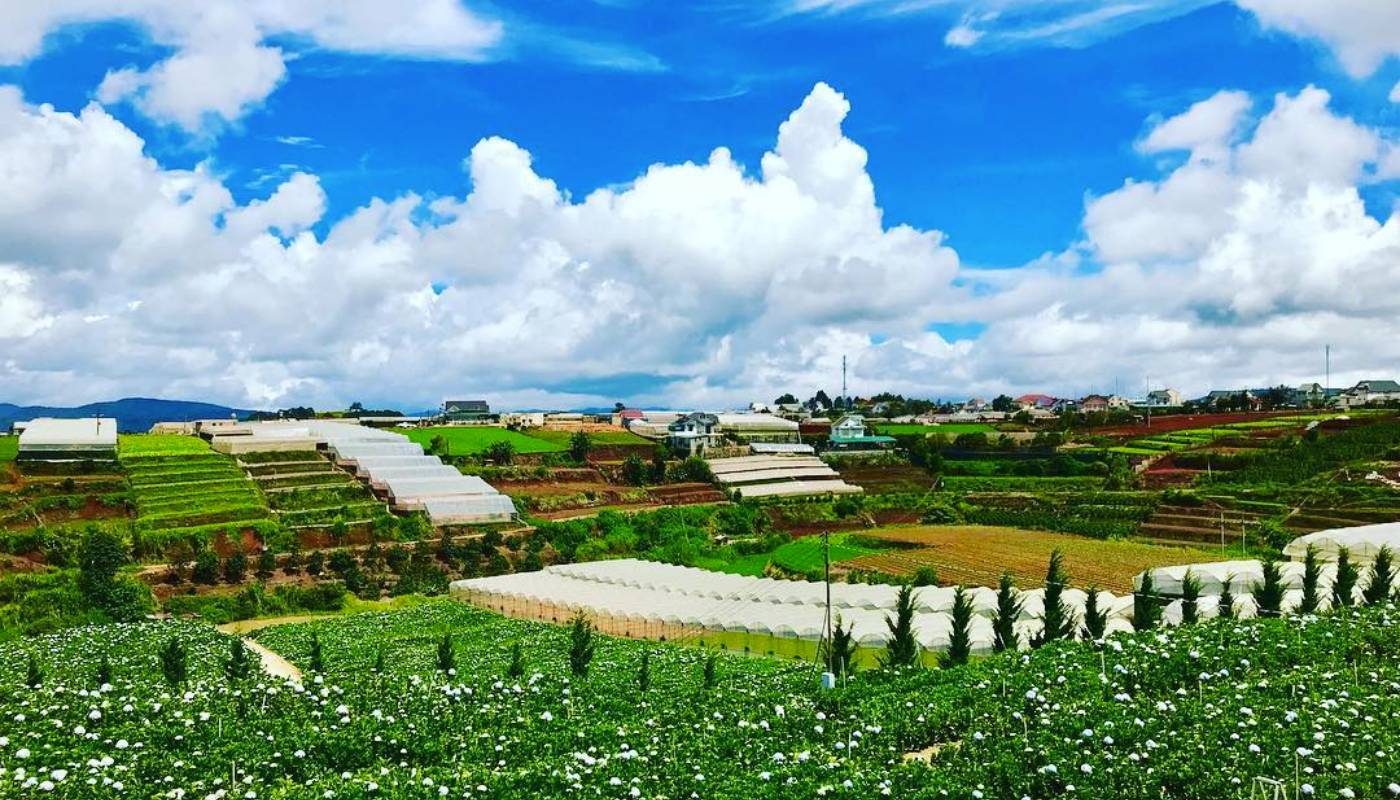 Chuẩn bị đầy đủ để bắt đầu chuyến đi Đà Lạt tháng 7