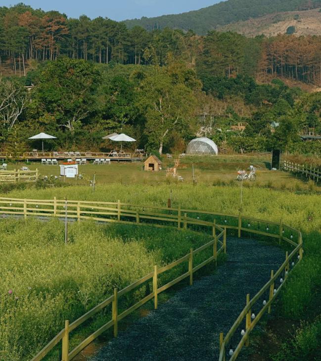 Đà Lạt mùa nắng đẹp, dễ chịu