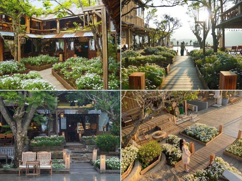 Những tiệm cà phê Đà Lạt view đẹp, check-in siêu mê