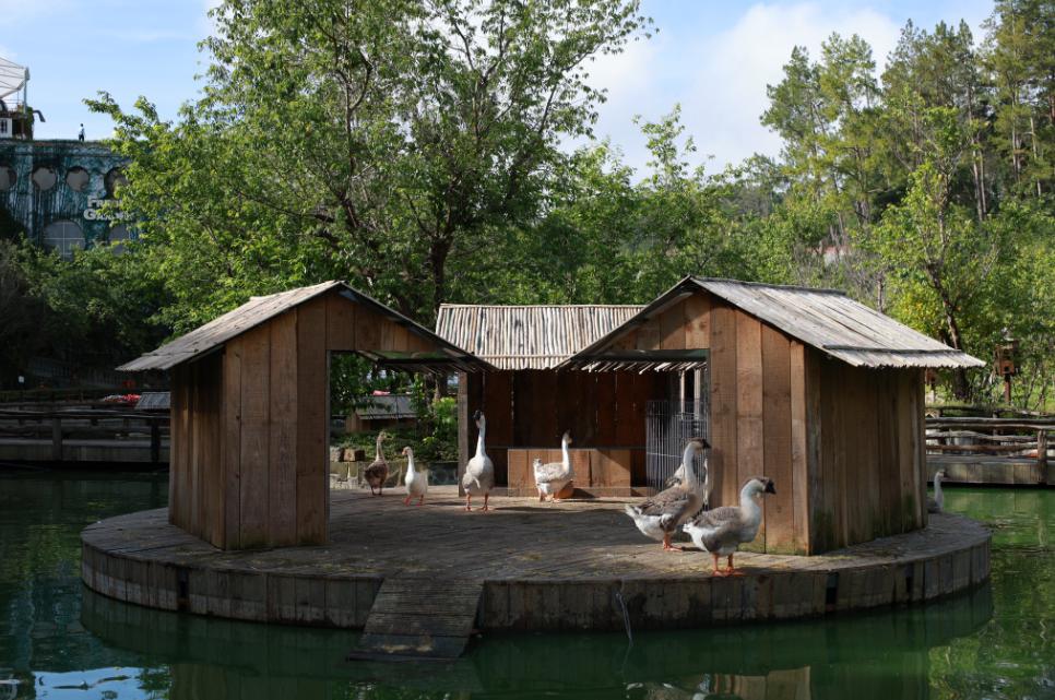 Hồ nước xanh biếc