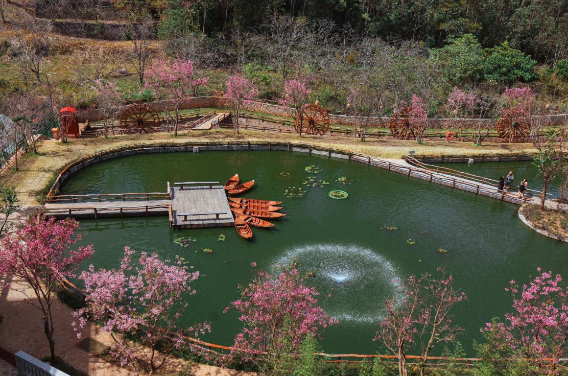 Thung lũng hoa Mai Anh Đào