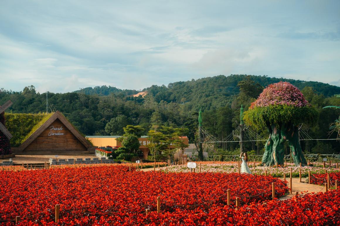 Không gian bao quát Fresh Garden Đà Lạt