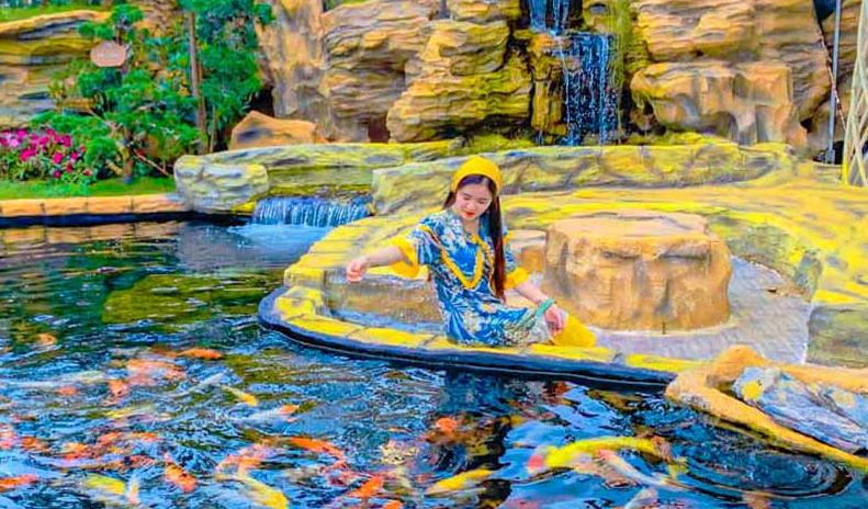 Thác nước nhân tạo cùng đàn cá Koi