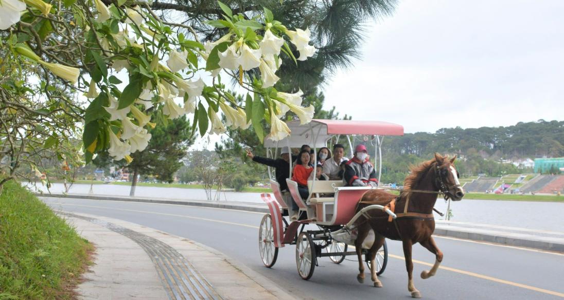 Ngắm một vòng Hồ Xuân Hương trên chiếc xe ngựa