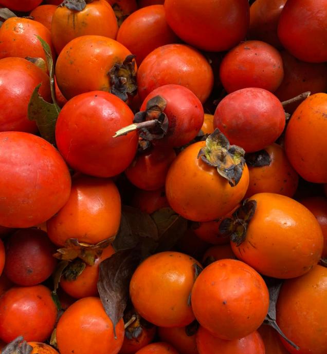 Chọn lựa những quả hồng tươi ngon nhất