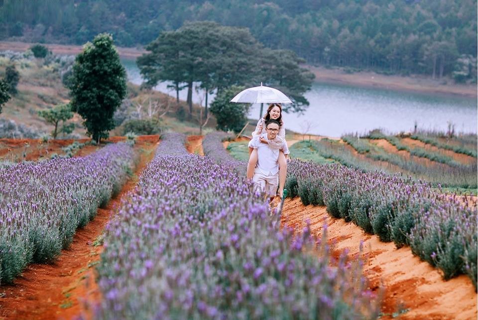 Nhớ mang theo ô khi đi du lịch Đà Lạt tháng 7