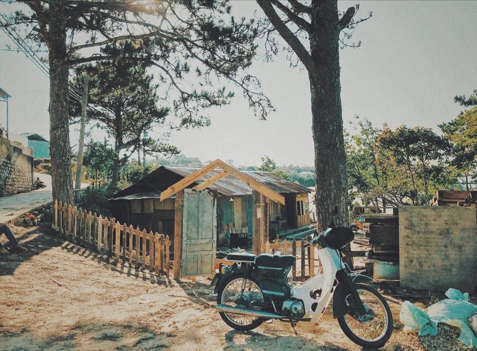 Top quán cafe nhất định phải ghé khi đến Đà Lạt tháng 6