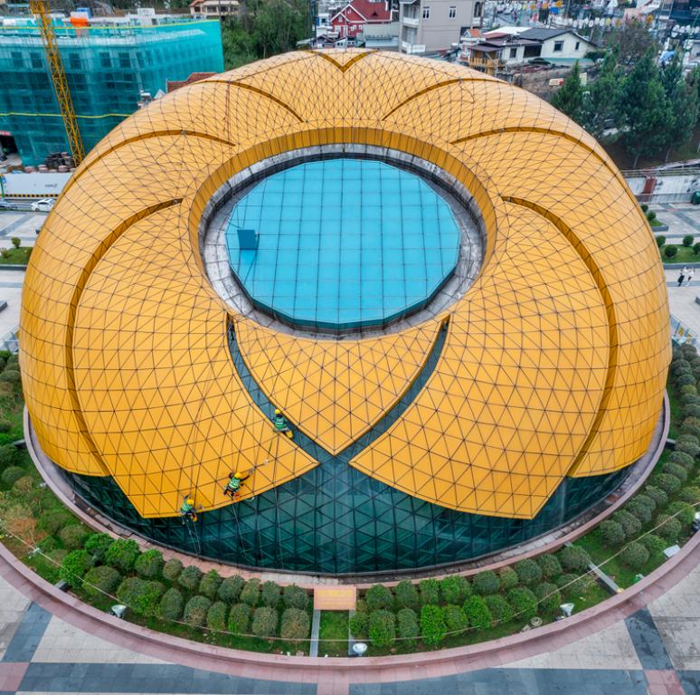 Khối hoa Dã Quỳ khổng lồ ấn tượng nhiều du khách