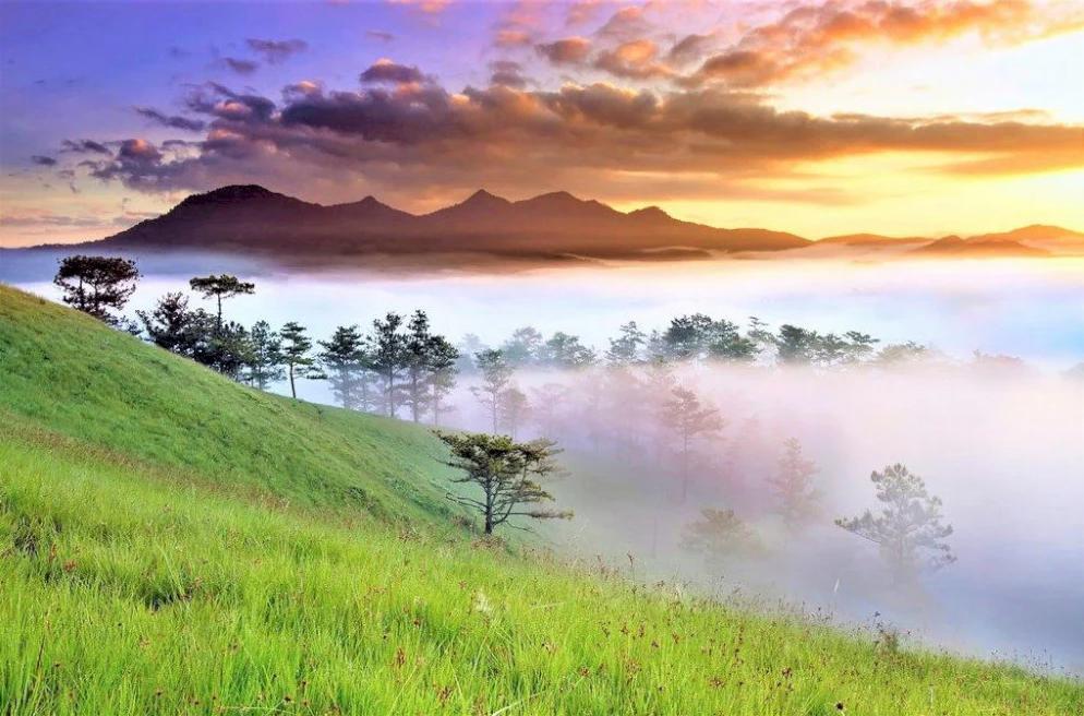 Đỉnh Rada