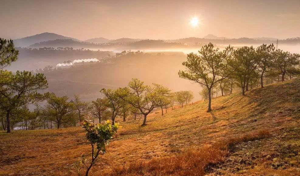 Đồi Thiên Phúc Đức Ở Đà Lạt