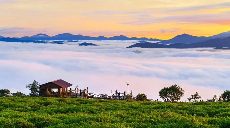 Săn mây tại đồi chè Cầu Đất