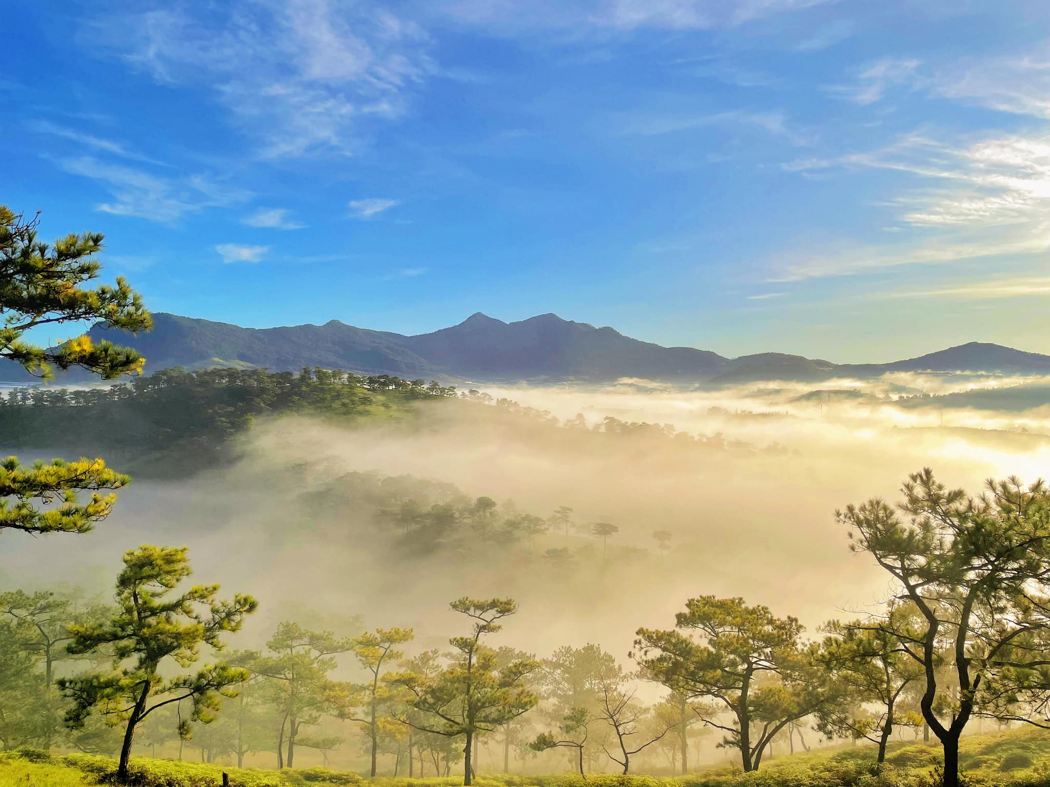 Thời tiết Đà Lạt tháng 11 se se lạnh