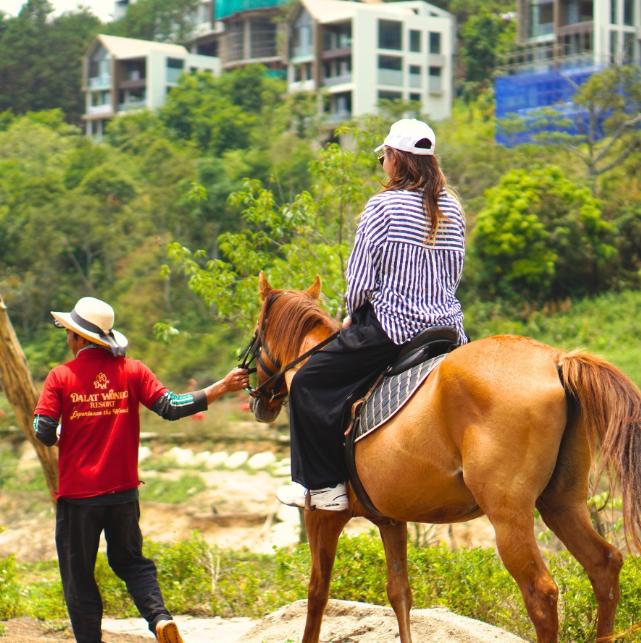 Trải nghiệm cưỡi ngựa