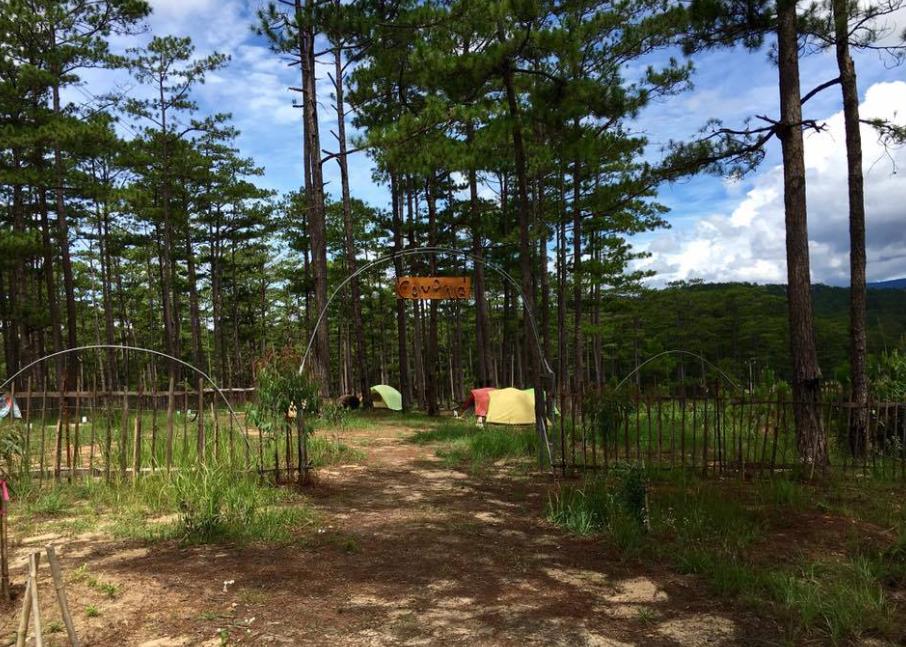 Cắm trại ấm áp tại ZooDoo Camping