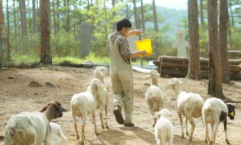 Zoodoo Đà Lạt