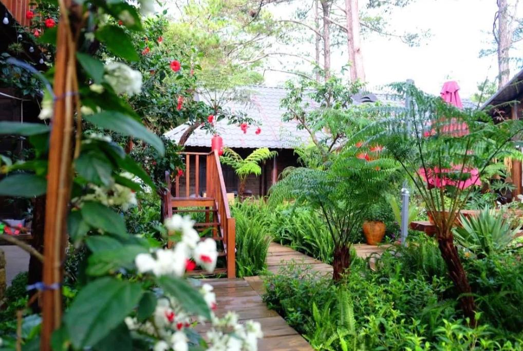 Không gian tại Alba ra Homestay Măng Đen 