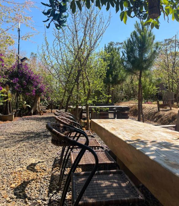 Măng Đen Chải Homestay & Coffee
