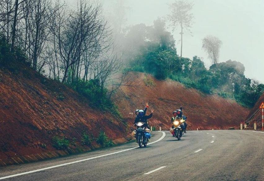 Những con đường đèo dài chạy qua những rừng cây bạt ngàn