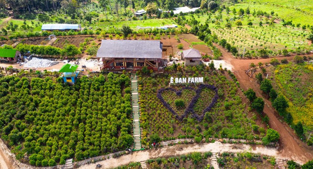 Trang trại Ê Ban Farm