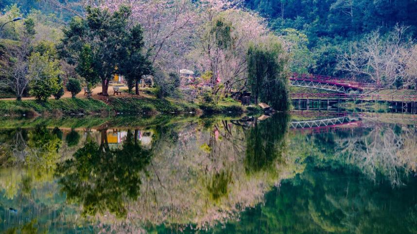 Hồ Đăk Ke mùa hoa đào nở rộ