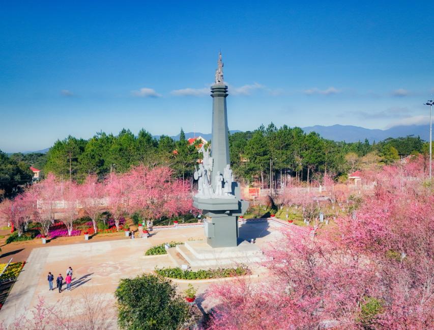 Quảng Trường Măng Đen rợp bóng hồng