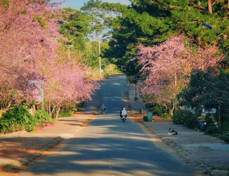 Lối vào Làng Kon Bring rợp sắc hoa