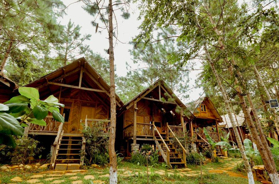 Sóc’s House Homestay