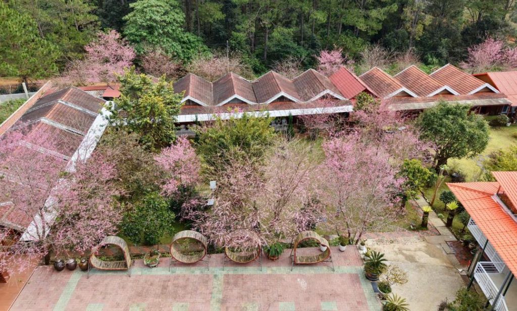 Những căn bungalow với tầm nhìn tuyệt đẹp