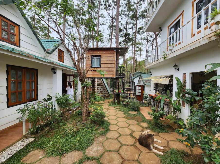 Khuôn viên cực "chữa lành" bên ngoài Nắng Homestay Măng Đen